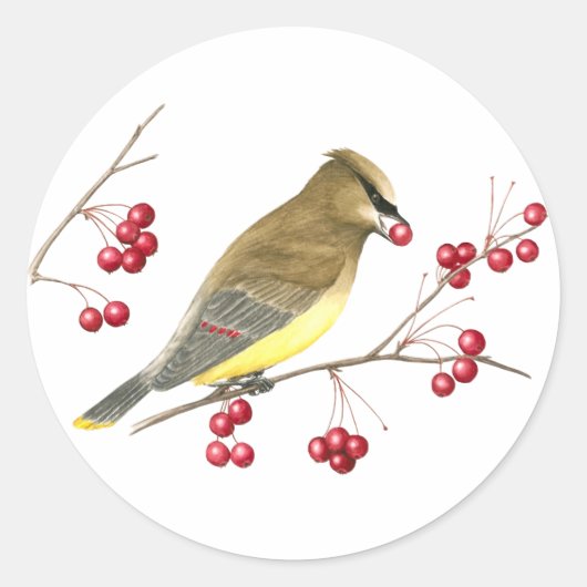 Cedar Waxwing Bird Art Sticker (Voorkant)