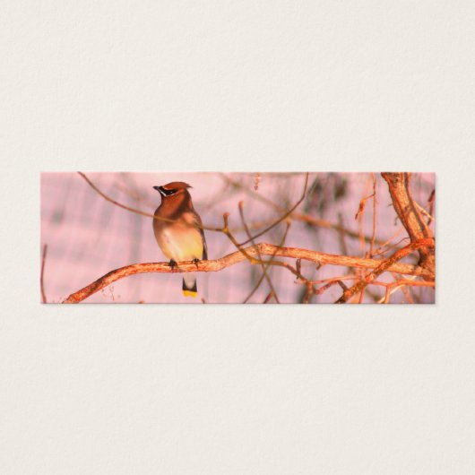Cedar Waxwing Bird Natuur Mini Bladwijzer Mini Visitekaartjes (Voorkant)