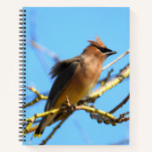 Cedar Waxwing Bird Notitieboek (Voorkant)