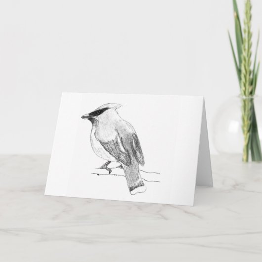 Cedar Waxwing Blank Wenskaart Kaart (Voorkant)
