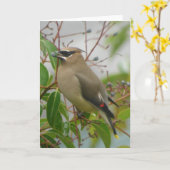 Cedar Waxwing Card Kaart (Gele Bloem)