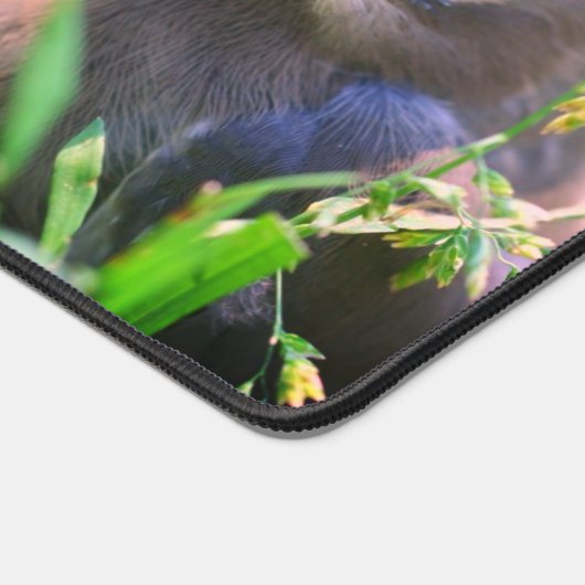 Cedar Waxwing Fledgling Bird Personated Bureaumat (Hoek)