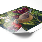 Cedar Waxwing in frambozen fotoprint Foto Afdruk (Hoek)