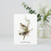 Cedar Waxwing, John Audubon Briefkaart (Staand voorkant)