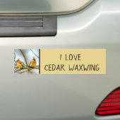 Cedar Waxwing - Originele foto Bumpersticker (Op auto)