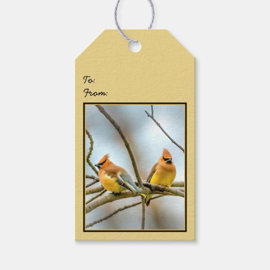 Cedar Waxwing - Originele foto Cadeaulabel (Voorkant)