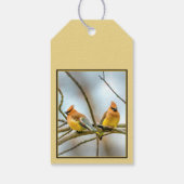 Cedar Waxwing - Originele foto Cadeaulabel (Achterkant)