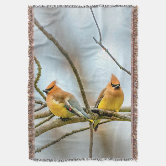 Cedar Waxwing - Originele foto Deken (Voorkant Verticaal)