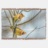 Cedar Waxwing - Originele foto Deken (Voorkant)