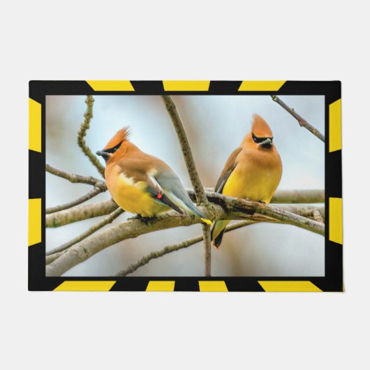 Cedar Waxwing - Originele foto Deurmat (Voorkant)