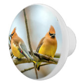 Cedar Waxwing - Originele foto Keramische Knop (Rechts)