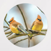 Cedar Waxwing - Originele foto Labels (Design 2)