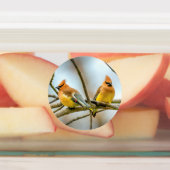 Cedar Waxwing - Originele foto Labels (Aangebracht)