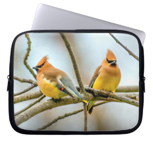 Cedar Waxwing - Originele foto Laptop Sleeve