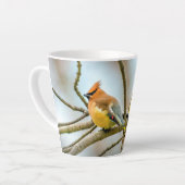 Cedar Waxwing - Originele foto Latte Mok (Linkerhoek)