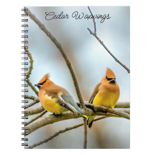Cedar Waxwing - Originele foto Notitieboek (Voorkant)