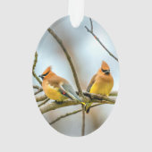 Cedar Waxwing - Originele foto Ornament (achterkant)