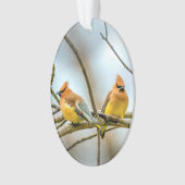 Cedar Waxwing - Originele foto Ornament (voorkant)