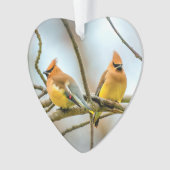 Cedar Waxwing - Originele foto Ornament (voorkant)