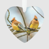 Cedar Waxwing - Originele foto Ornament (voorkant)