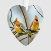 Cedar Waxwing - Originele foto Ornament (voorkant)