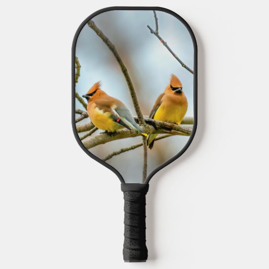 Cedar Waxwing - Originele foto Pickleball Paddle (Voorkant)