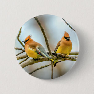 Cedar Waxwing - Originele foto Ronde Button 5,7 Cm