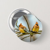 Cedar Waxwing - Originele foto Ronde Button 5,7 Cm (Voorkant /achterkant)