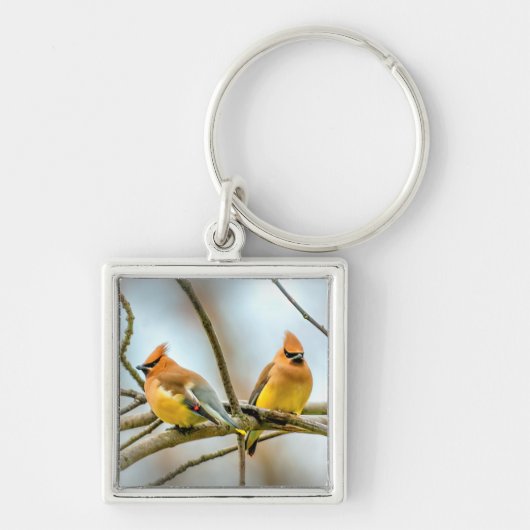 Cedar Waxwing - Originele foto Sleutelhanger (Voorkant)