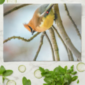 Cedar Waxwing - Originele foto Theedoek (Gevouwen)
