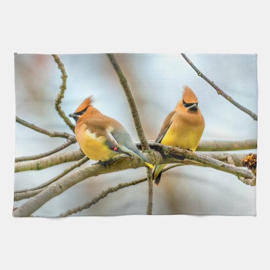 Cedar Waxwing - Originele foto Theedoek (Horizontaal)