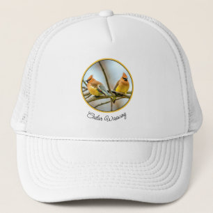 Cedar Waxwing - Originele foto Trucker Pet