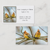 Cedar Waxwing - Originele foto Visitekaartje (Voorkant / Achterkant)