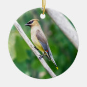 Cedar Waxwing Ornament (Voorkant)
