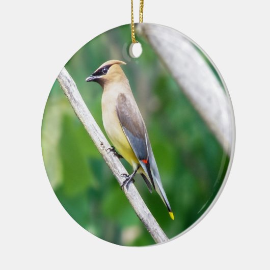 Cedar Waxwing Ornament (Links)