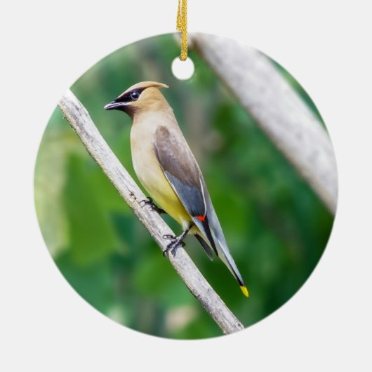 Cedar Waxwing Ornament (Achterkant)