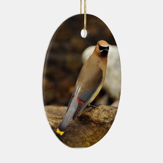 Cedar Waxwing Ornament (Rechts)