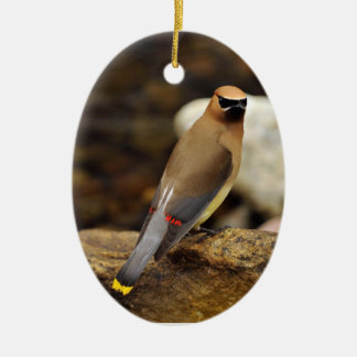 Cedar Waxwing Ornament