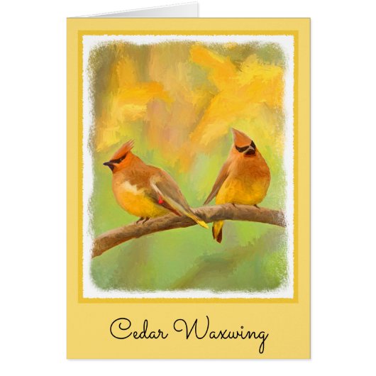 Cedar Waxwing Painting - Cute Original Dog Art (Voorkant)