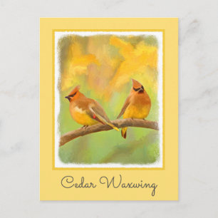 Cedar Waxwing Painting - Cute Original Dog Art Briefkaart