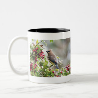 Cedar Waxwing, Peace, Love & Joy Coffee Mok