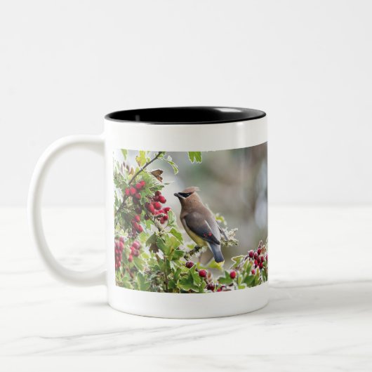 Cedar Waxwing, Peace, Love & Joy Coffee Mok (Links)