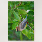 Cedar Waxwing Super uitdagende vogelliefhebber Legpuzzel (Verticaal)