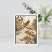  Cedar Waxwing van Robert Bruce Horsfall Briefkaart (Staand voorkant)
