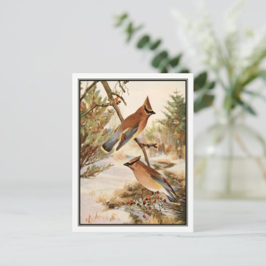  Cedar Waxwing van Robert Bruce Horsfall Briefkaart (Staand voorkant)