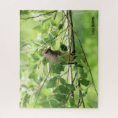 Cedar Waxwing, vogelliefhebber Legpuzzel (Verticaal)