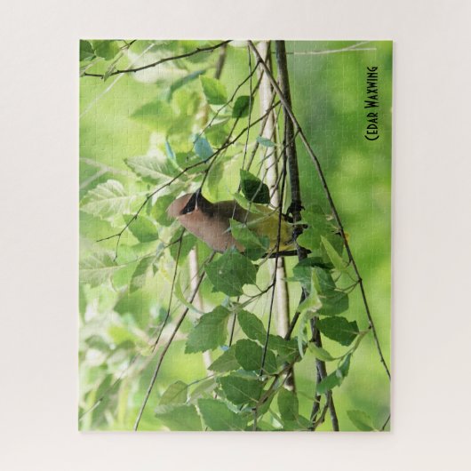 Cedar Waxwing, vogelliefhebber Legpuzzel (Verticaal)