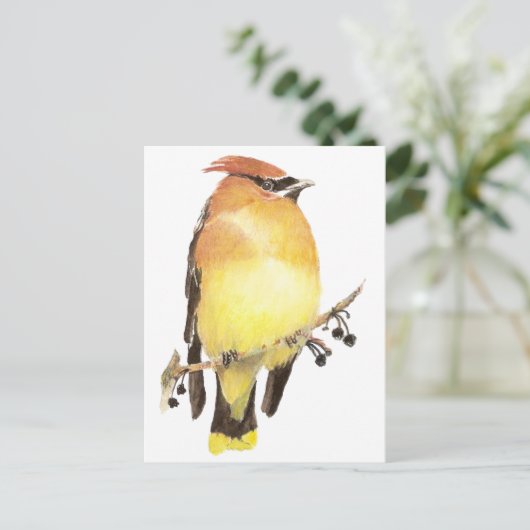 Cedar Waxwing, Waterverf Bird Briefkaart (Staand voorkant)