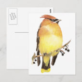 Cedar Waxwing, Waterverf Bird Briefkaart (Voorkant / Achterkant)