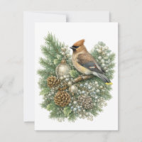 Cedar Waxwing Winter Songbirds Collectie